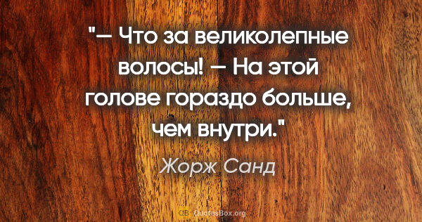 Жорж Санд цитата: "— Что за великолепные волосы!

— На этой голове гораздо..."