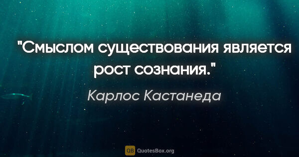 Карлос Кастанеда цитата: "Смыслом существования является рост сознания."