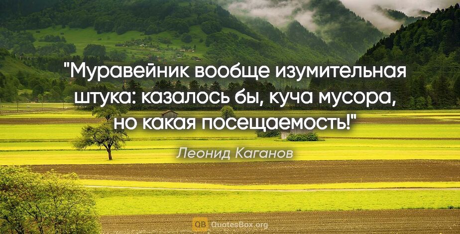 Леонид Каганов цитата: "Муравейник вообще изумительная штука: казалось бы, куча..."