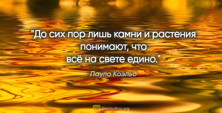 Пауло Коэльо цитата: "До сих пор лишь камни и растения понимают, что всё на свете..."
