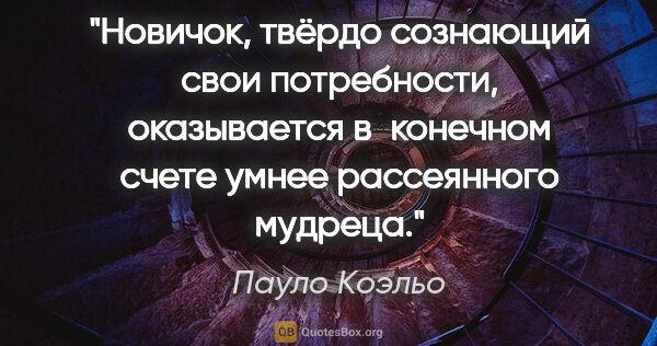 Пауло Коэльо цитата: "Новичок, твёрдо сознающий свои потребности, оказывается..."