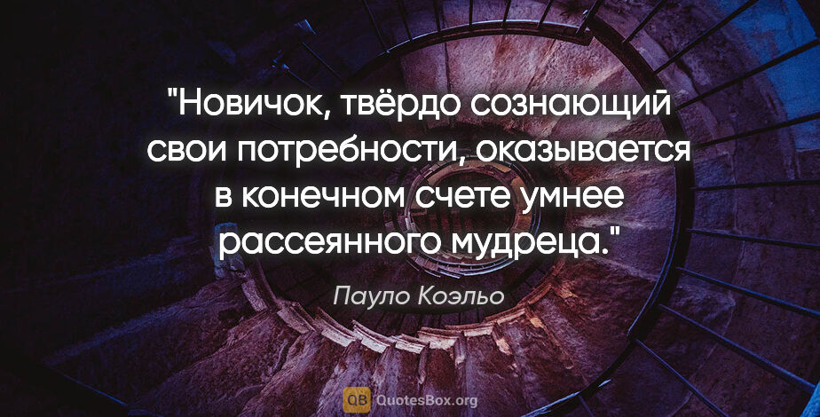 Пауло Коэльо цитата: "Новичок, твёрдо сознающий свои потребности, оказывается..."