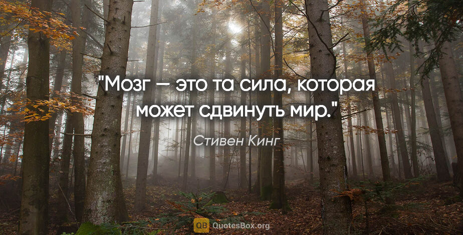 Стивен Кинг цитата: "Мозг — это та сила, которая может сдвинуть мир."