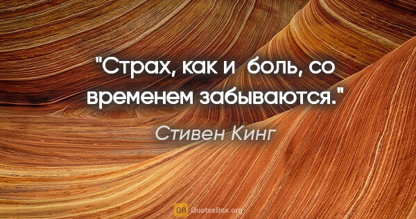 Стивен Кинг цитата: "Страх, как и боль, со временем забываются."