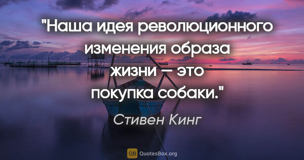 Стивен Кинг цитата: "Наша идея революционного изменения образа жизни — это покупка..."