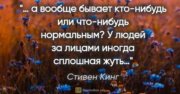 Стивен Кинг цитата: "… а вообще бывает кто-нибудь или что-нибудь нормальным?..."