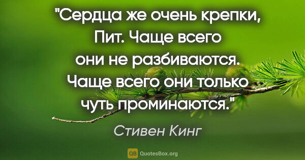 Стивен Кинг цитата: "Сердца же очень крепки, Пит. Чаще всего они не разбиваются...."