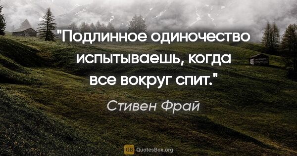 Стивен Фрай цитата: "Подлинное одиночество испытываешь, когда все вокруг спит."