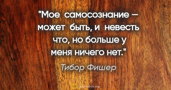 Тибор Фишер цитата: "Мое  самосознание — может  быть, и невесть  что, но больше у..."