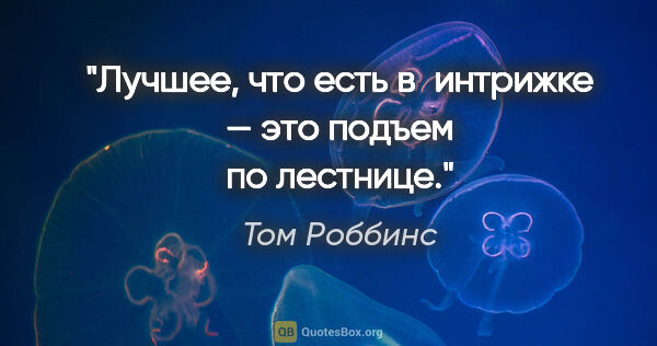 Том Роббинс цитата: "Лучшее, что есть в интрижке — это подъем по лестнице."