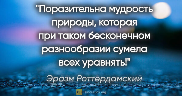 Эразм Роттердамский цитата: "Поразительна мудрость природы, которая при таком бесконечном..."