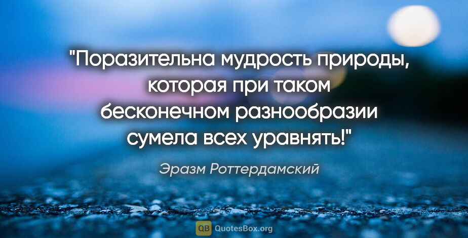 Эразм Роттердамский цитата: "Поразительна мудрость природы, которая при таком бесконечном..."