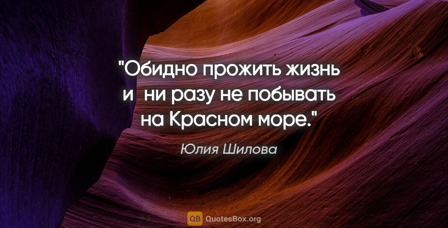 Юлия Шилова цитата: "Обидно прожить жизнь и ни разу не побывать на Красном море."