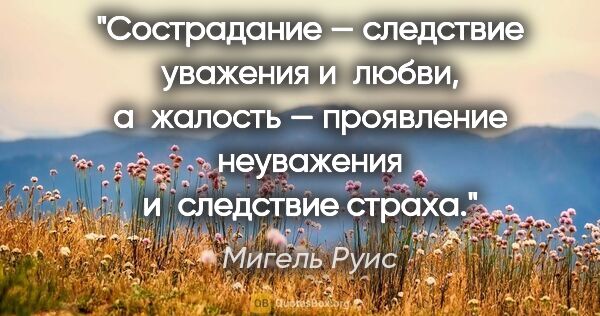 Мигель Руис цитата: "Сострадание — следствие уважения и любви, а жалость —..."