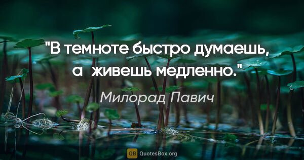 Милорад Павич цитата: "В темноте быстро думаешь, а живешь медленно."