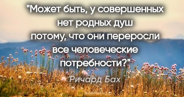 Ричард Бах цитата: "Может быть, у совершенных нет родных душ потому, что они..."