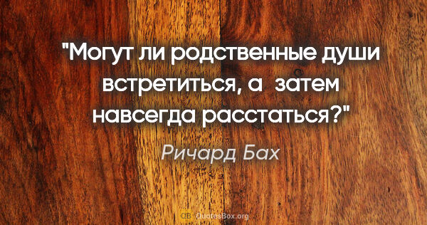 Ричард Бах цитата: "Могут ли родственные души встретиться, а затем навсегда..."