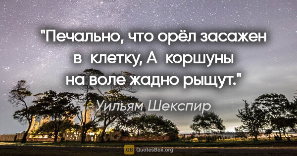 Уильям Шекспир цитата: "Печально, что орёл засажен в клетку,

А коршуны на воле жадно..."