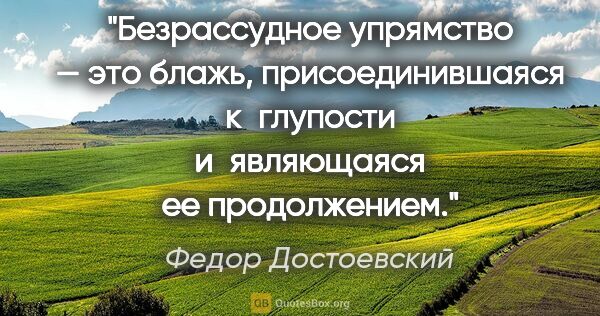 Федор Достоевский цитата: "Безрассудное упрямство — это блажь, присоединившаяся..."