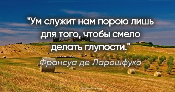 Франсуа де Ларошфуко цитата: "Ум служит нам порою лишь для того, чтобы смело делать глупости."