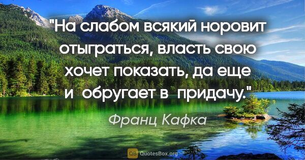 Франц Кафка цитата: "На слабом всякий норовит отыграться, власть свою хочет..."