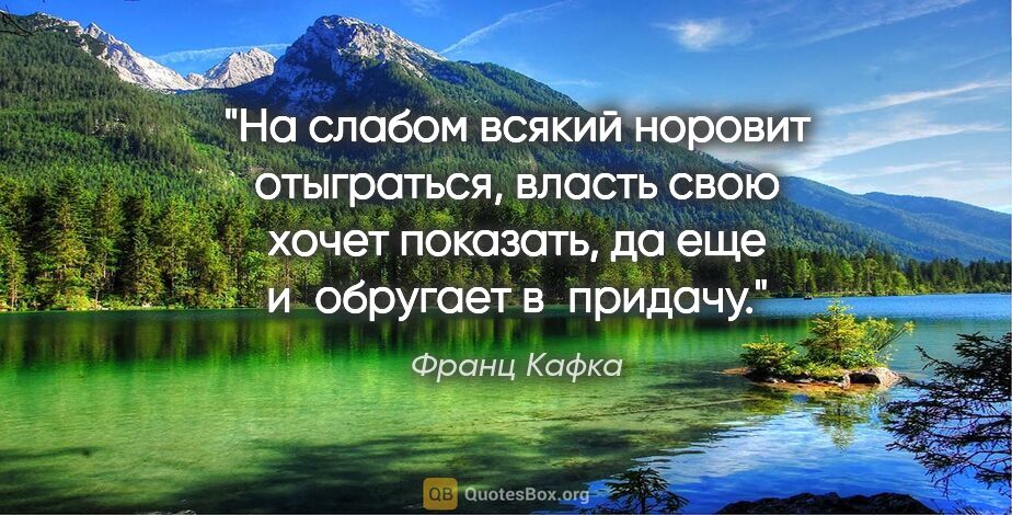 Франц Кафка цитата: "На слабом всякий норовит отыграться, власть свою хочет..."