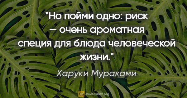 Харуки Мураками цитата: "Но пойми одно: риск — очень ароматная специя для блюда..."