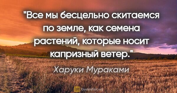 Харуки Мураками цитата: "Все мы бесцельно скитаемся по земле, как семена растений,..."